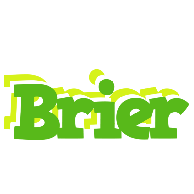 Brier picnic logo
