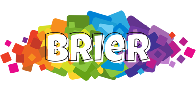 Brier pixels logo