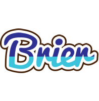 Brier raining logo