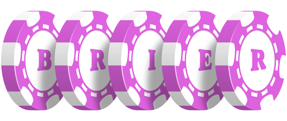 Brier river logo