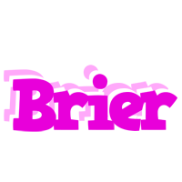 Brier rumba logo