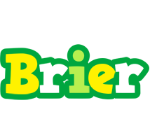 Brier soccer logo