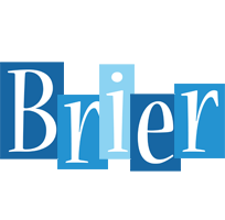Brier winter logo
