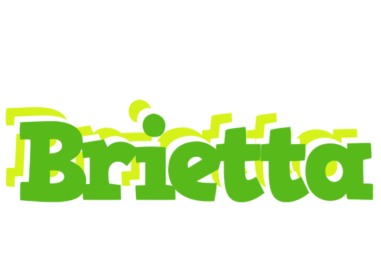 Brietta picnic logo