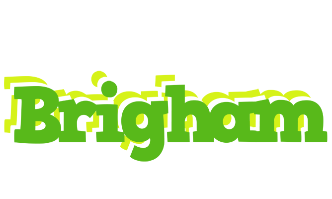 Brigham picnic logo