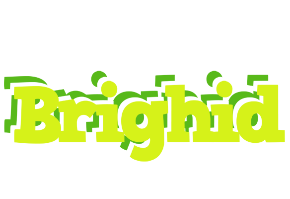 Brighid citrus logo