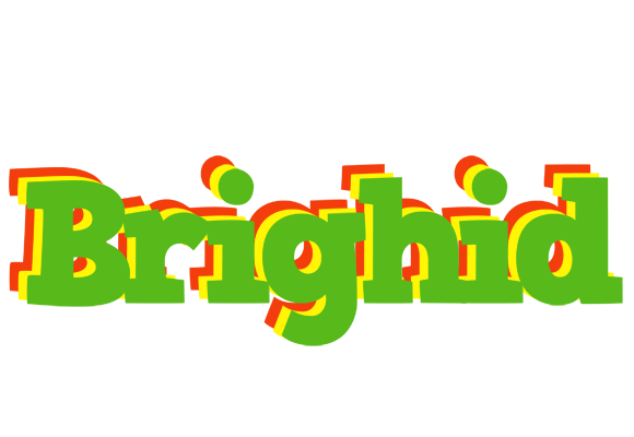 Brighid crocodile logo