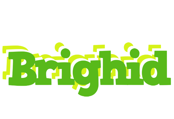 Brighid picnic logo