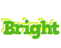 Bright picnic logo