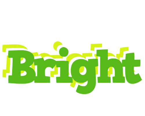 Bright picnic logo