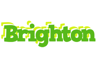 Brighton picnic logo