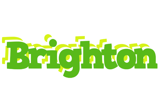 Brighton picnic logo