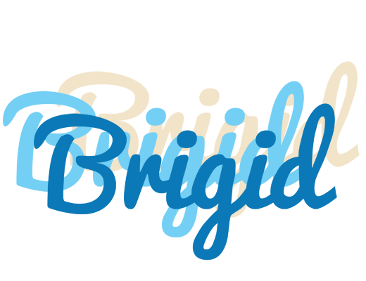 Brigid breeze logo
