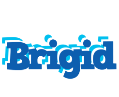 Brigid business logo