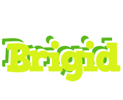 Brigid citrus logo