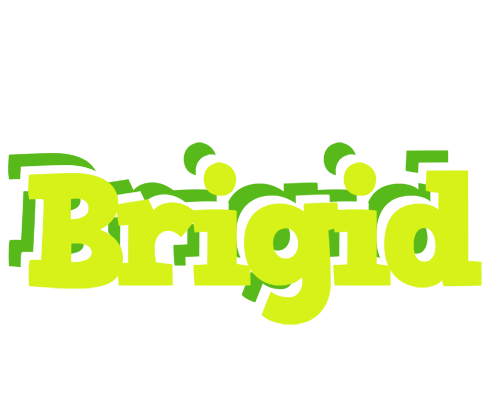Brigid citrus logo
