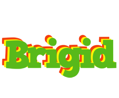 Brigid crocodile logo