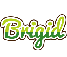 Brigid golfing logo