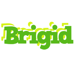 Brigid picnic logo