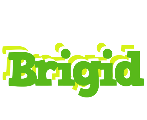Brigid picnic logo