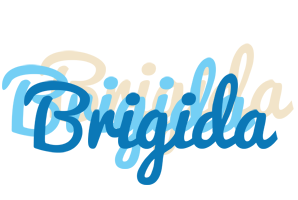 Brigida breeze logo