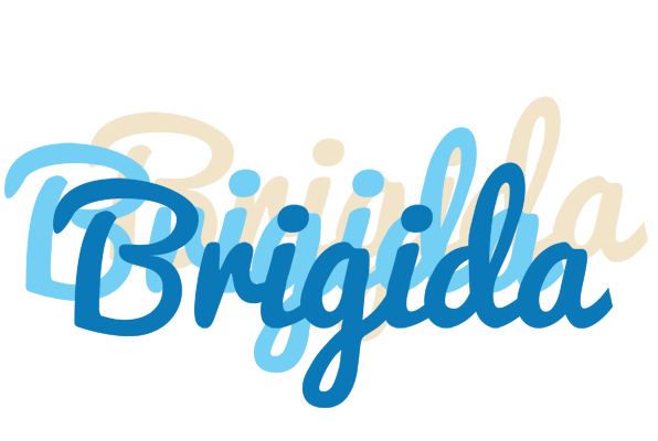 Brigida breeze logo