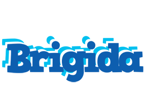 Brigida business logo