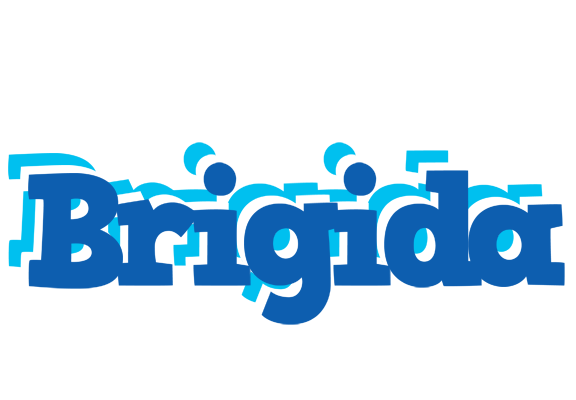 Brigida business logo