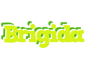 Brigida citrus logo
