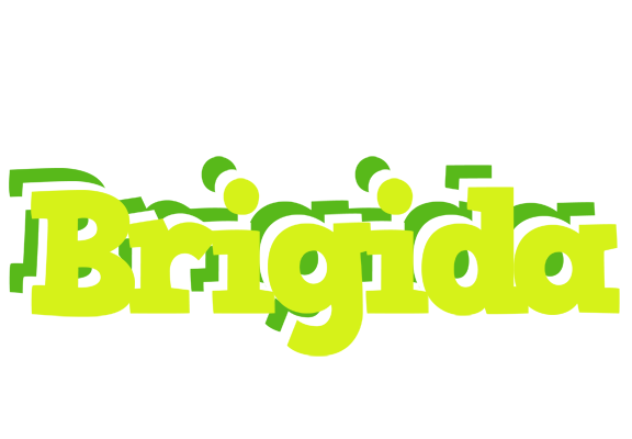 Brigida citrus logo