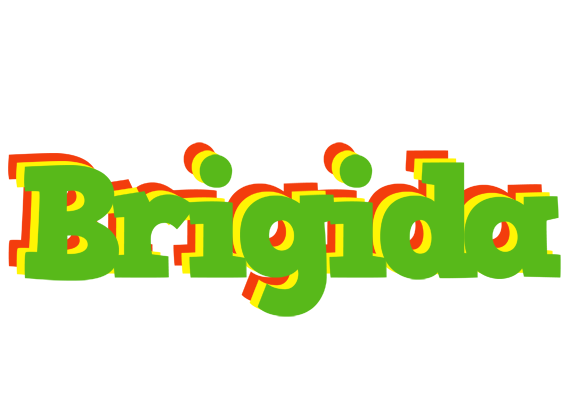 Brigida crocodile logo