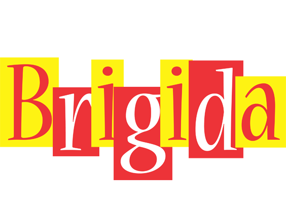 Brigida errors logo