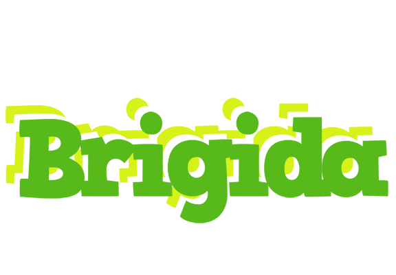 Brigida picnic logo