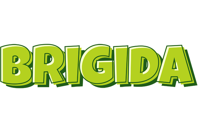 Brigida summer logo