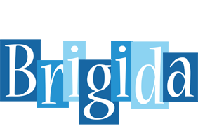 Brigida winter logo