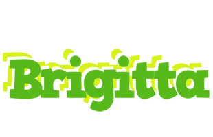 Brigitta picnic logo