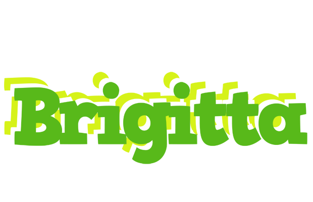 Brigitta picnic logo