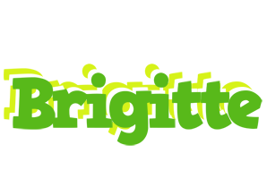 Brigitte picnic logo