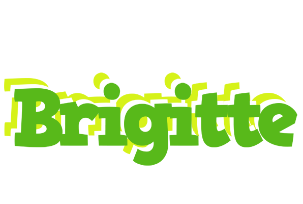 Brigitte picnic logo