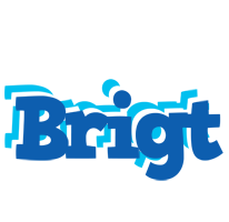 Brigt business logo