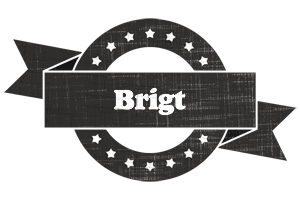 Brigt grunge logo