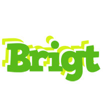 Brigt picnic logo