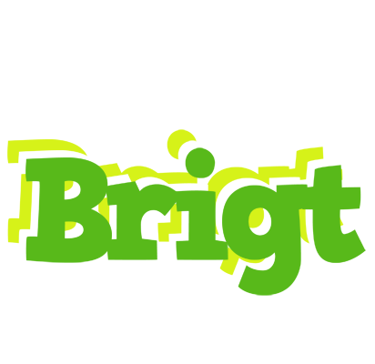Brigt picnic logo