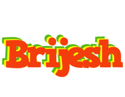 Brijesh bbq logo