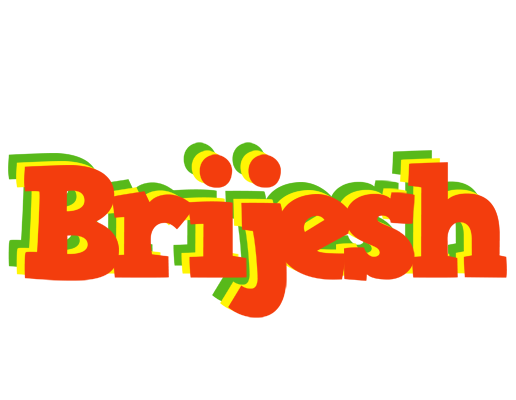 Brijesh bbq logo