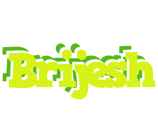 Brijesh citrus logo