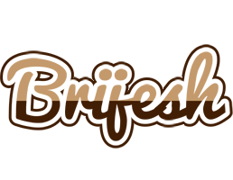 Brijesh exclusive logo