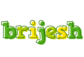 Brijesh juice logo