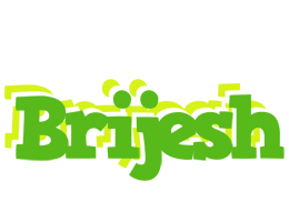 Brijesh picnic logo