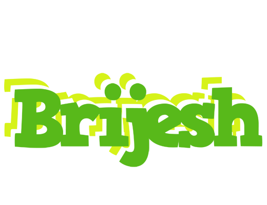 Brijesh picnic logo